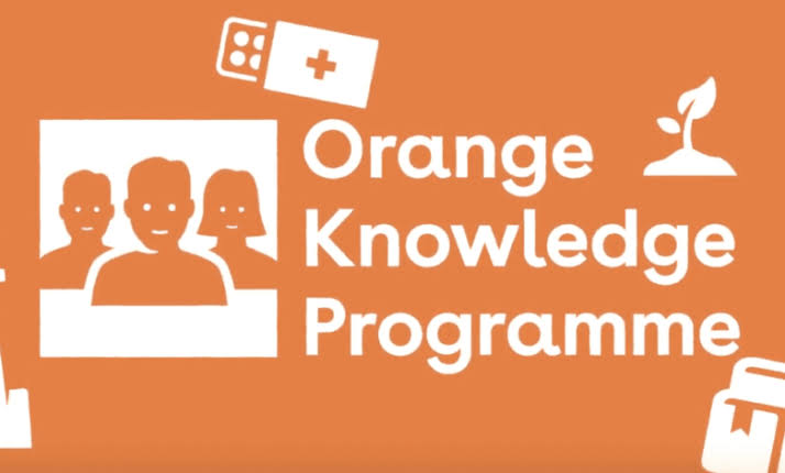 Orange knowledge program scholarship 